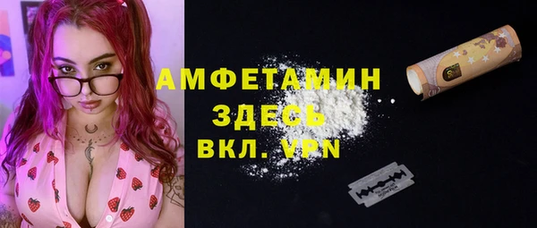 стафф Алзамай