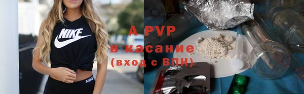 стафф Алзамай